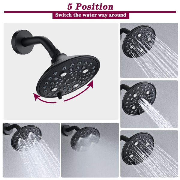 MAXWELL Rain Adjustable Shower Head Wayfair